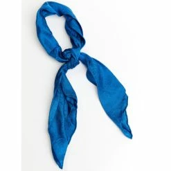 Coupon ๐ Cody James Men's Wild Rag Silk Scarf Blue ๐