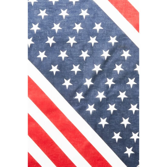 Cheapest ๐งจ Cody James Men's American Flag Print Bandana Multi โค๏ธ - Image 3