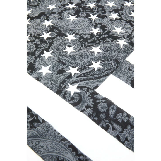 Buy 🤩 Cody James Men's Paisley Americana Flag Print Bandana Black 🤩